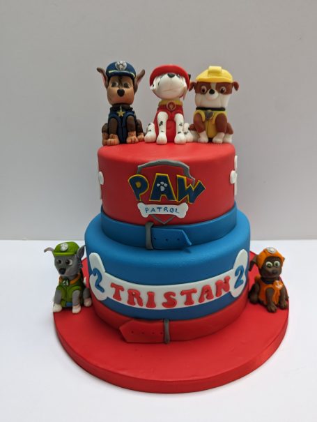 Paw Patrol TV Show